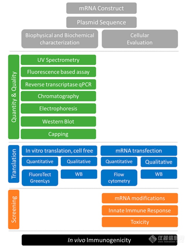 Orbitrap高分辨质谱助力mRNA疫苗表征