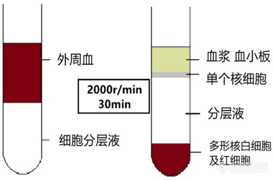 微信截图_20220330110201.png