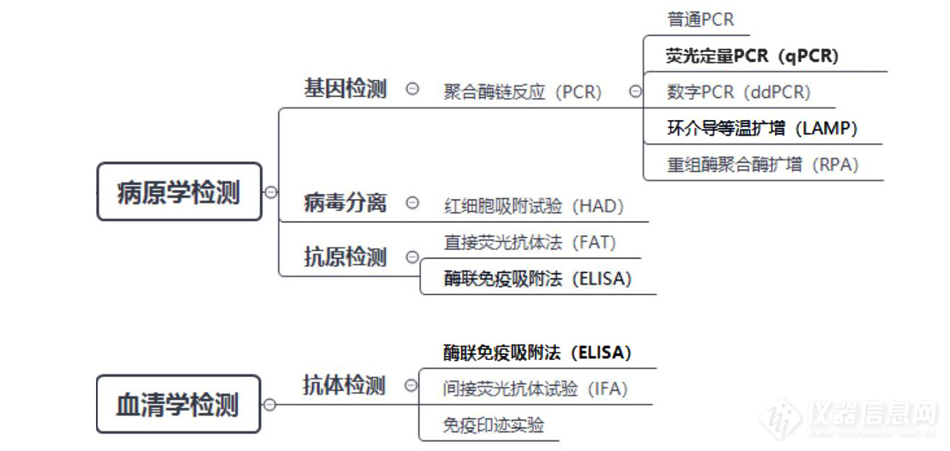 非洲猪瘟方法.jpg