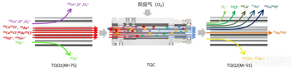 谱育科技 | 三重四极杆ICP-MS，为食品质量安全保驾护航