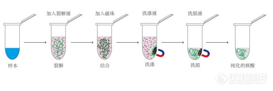 看完这篇，检测机构的高效核酸提取你也会！