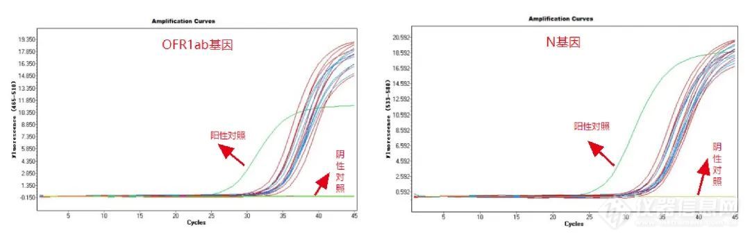 核酸检测背后的速度之战