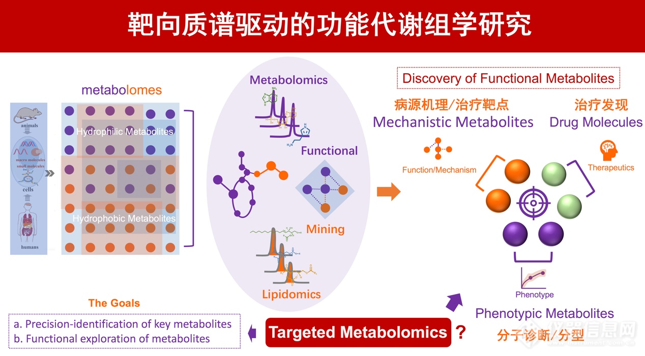 上交大吕海涛课题组多维度刻画具有潜在临床对应性的实验性急慢性肝炎的功能代谢特征谱