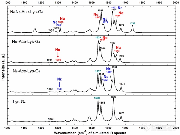 科研人员利用红外和拉曼光谱识别赖氨酸乙酰化特征