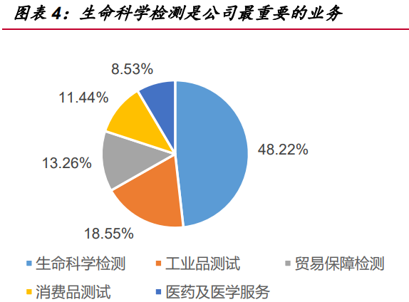 五大领域占比.png