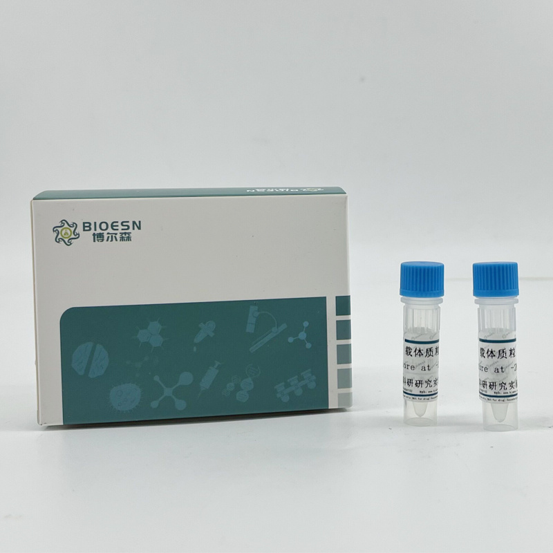 耐万古霉素肠球菌vanAvanB双重PCR阳性对照质粒