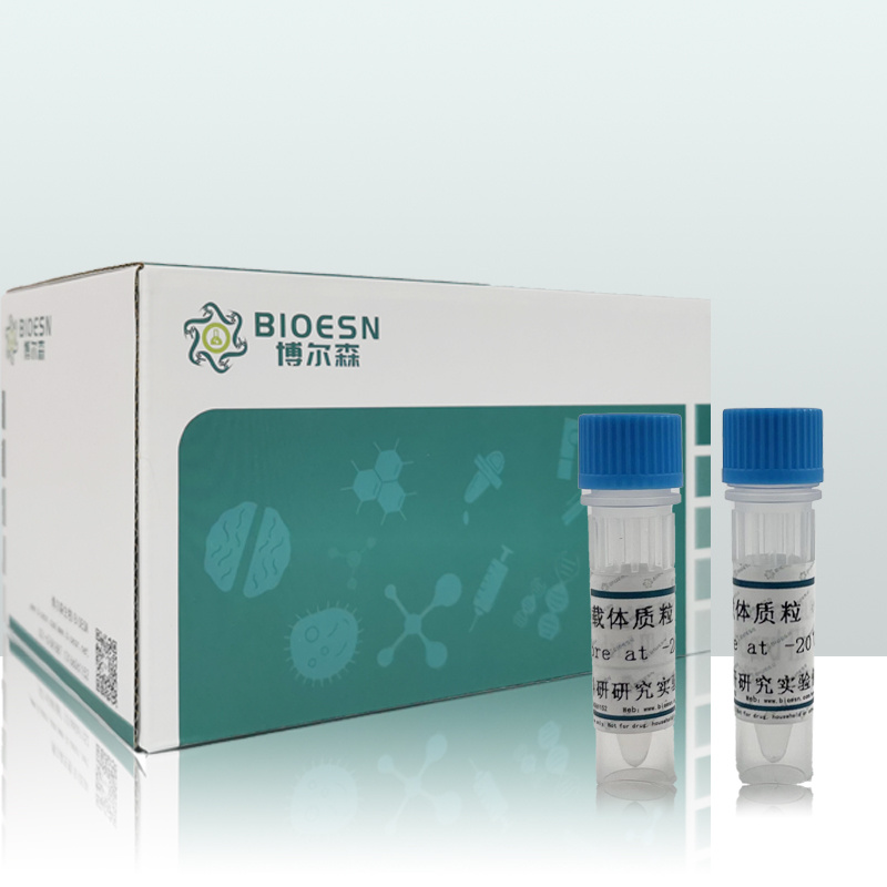 Bacillus licheniformis地衣形芽孢杆菌PCR阳性对照质粒