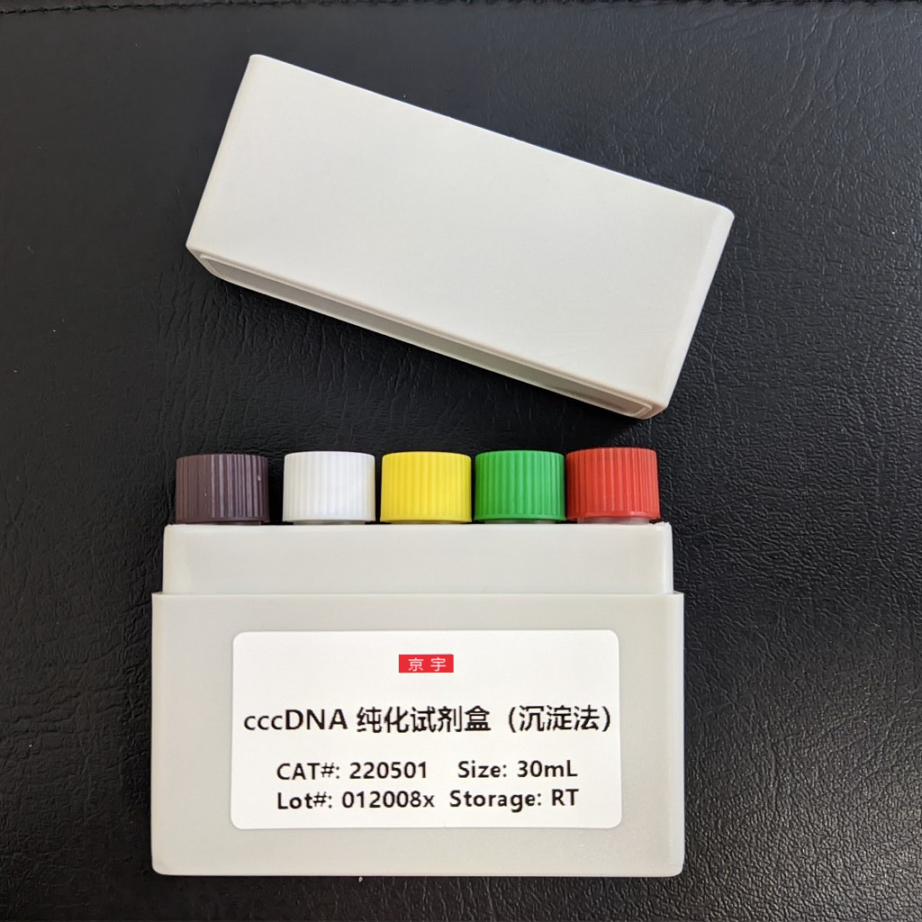 cccDNA纯化试剂盒溶液A