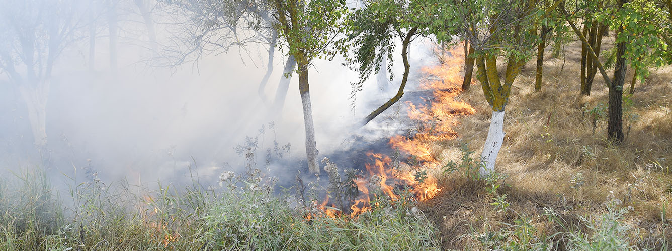 立体预防森林火灾 森林安全综合管理平台