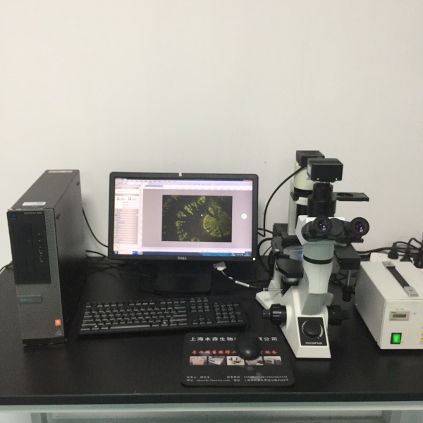 木森-二手奥林巴斯临床生物/荧光显微镜 CKX41