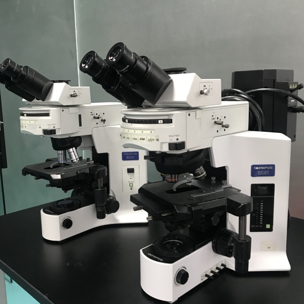 木森-二手奥林巴斯BX51正置三色荧光显微镜