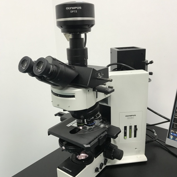 木森-二手奥林巴斯OLYMPUS BX60 正置三色荧光显微镜
