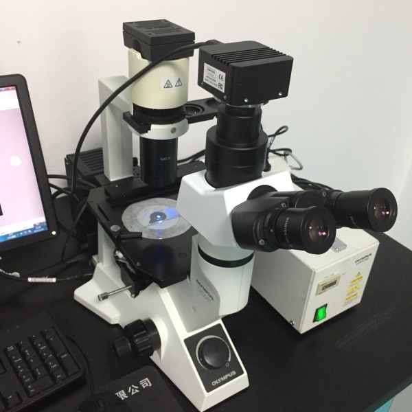 木森-二手奥林巴斯临床生物/荧光显微镜 CKX41
