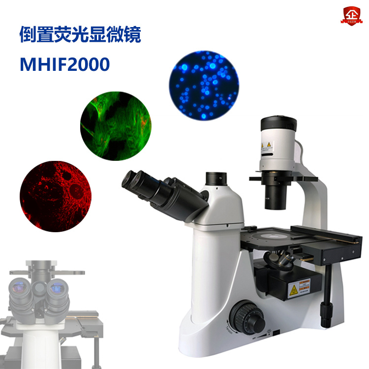 三色倒置LED荧光显微镜MHIF2000 
