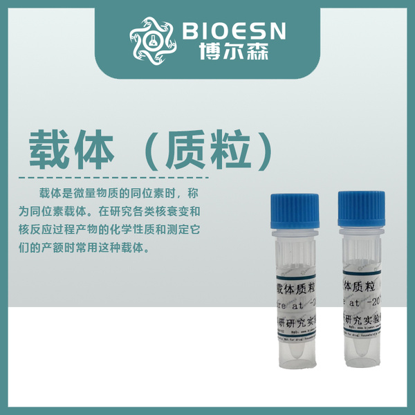 Rhizopus microspous小孢子酒曲菌PCR阳性对照质粒