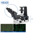 倒置生物显微镜 NIB400