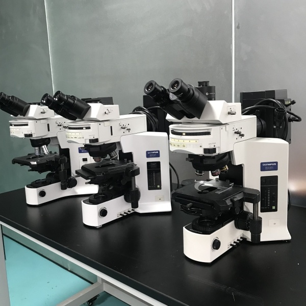 木森-二手奥林巴斯BX51正置三色荧光显微镜