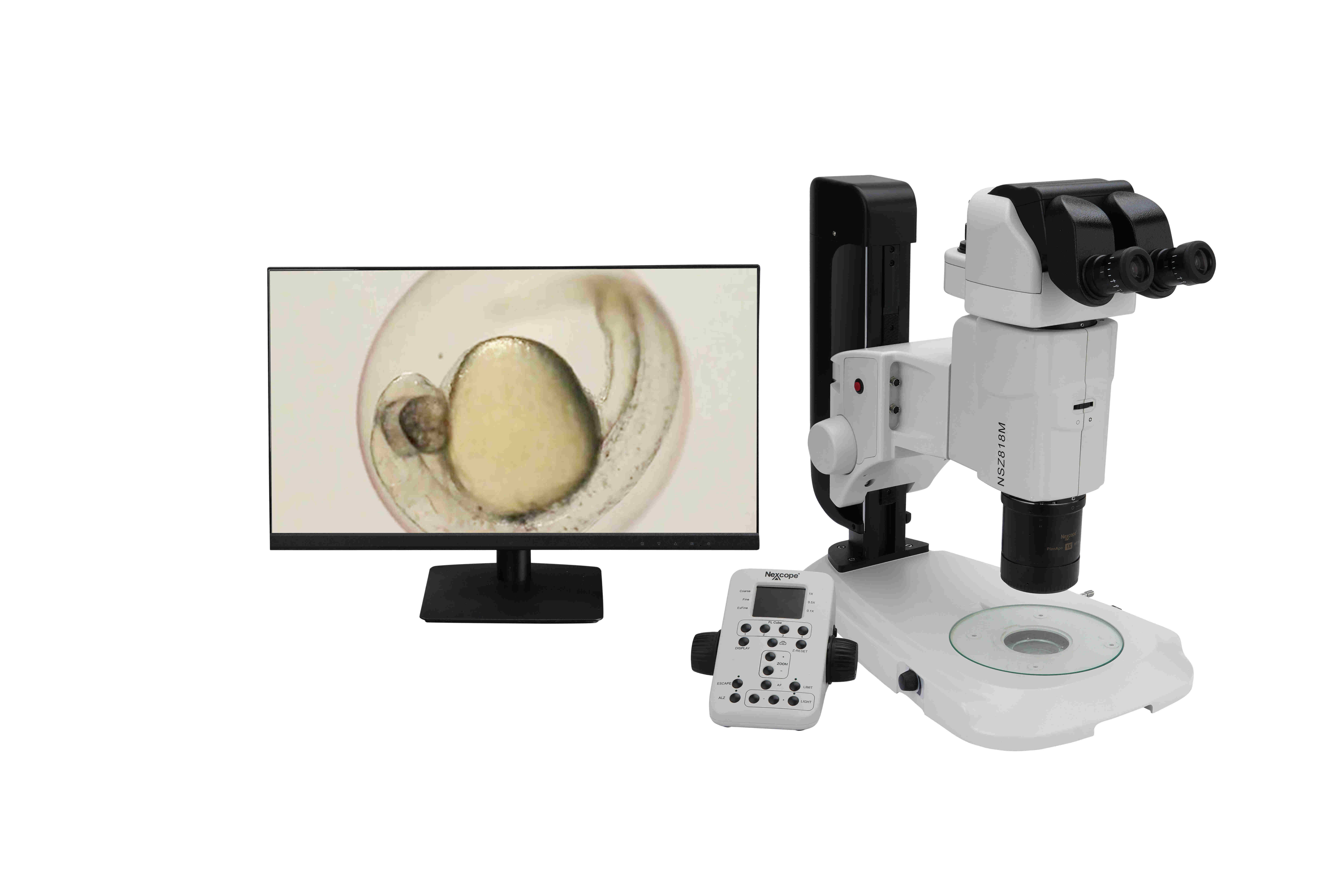 耐可视科研级复消色差平行光体视显微镜NSZ818