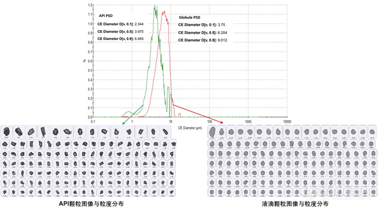 【热点应用】是时候表演真正的技术了 ，破解乳膏剂颗粒表征难题！