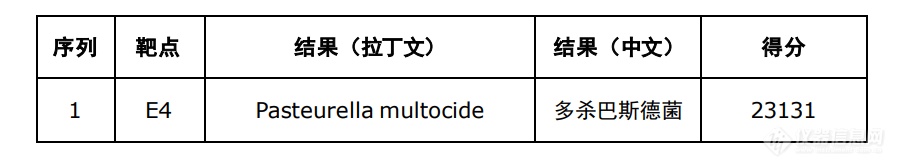 菌种鉴别实验结果.png