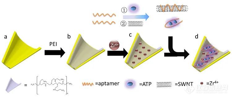 广州大学王家海教授团队在纳米孔单分子计数器和纳米孔整流器领域的系统性成果