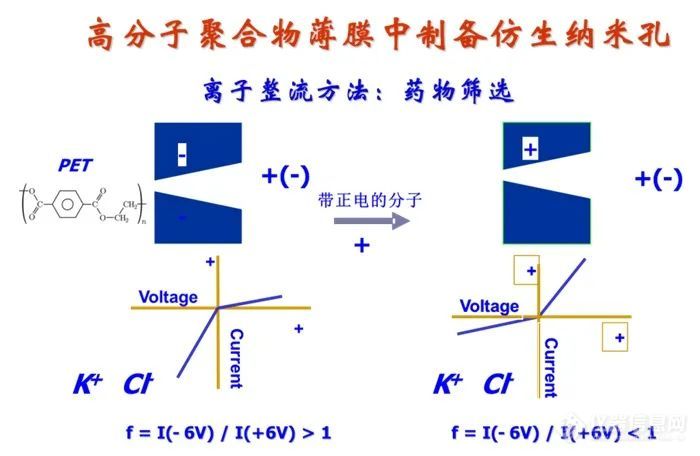 广州大学王家海教授团队在纳米孔单分子计数器和纳米孔整流器领域的系统性成果