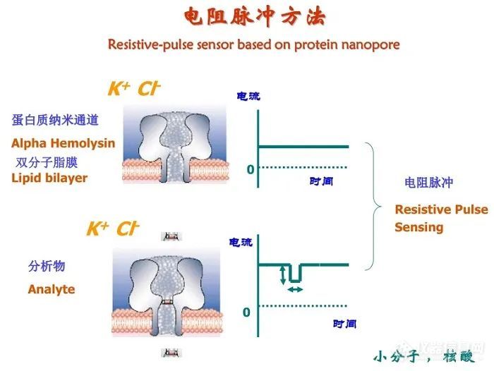 广州大学王家海教授团队在纳米孔单分子计数器和纳米孔整流器领域的系统性成果