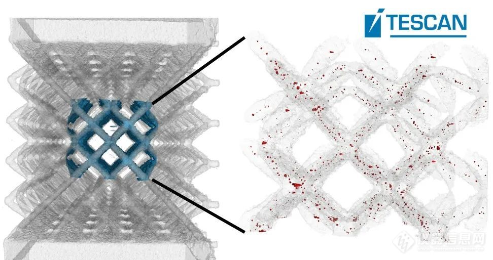 重大突破 | TESCAN显微CT实时动态成像外，还实现元素光谱分析