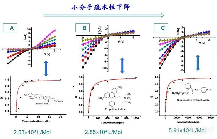 广州大学王家海教授团队在纳米孔单分子计数器和纳米孔整流器领域的系统性成果