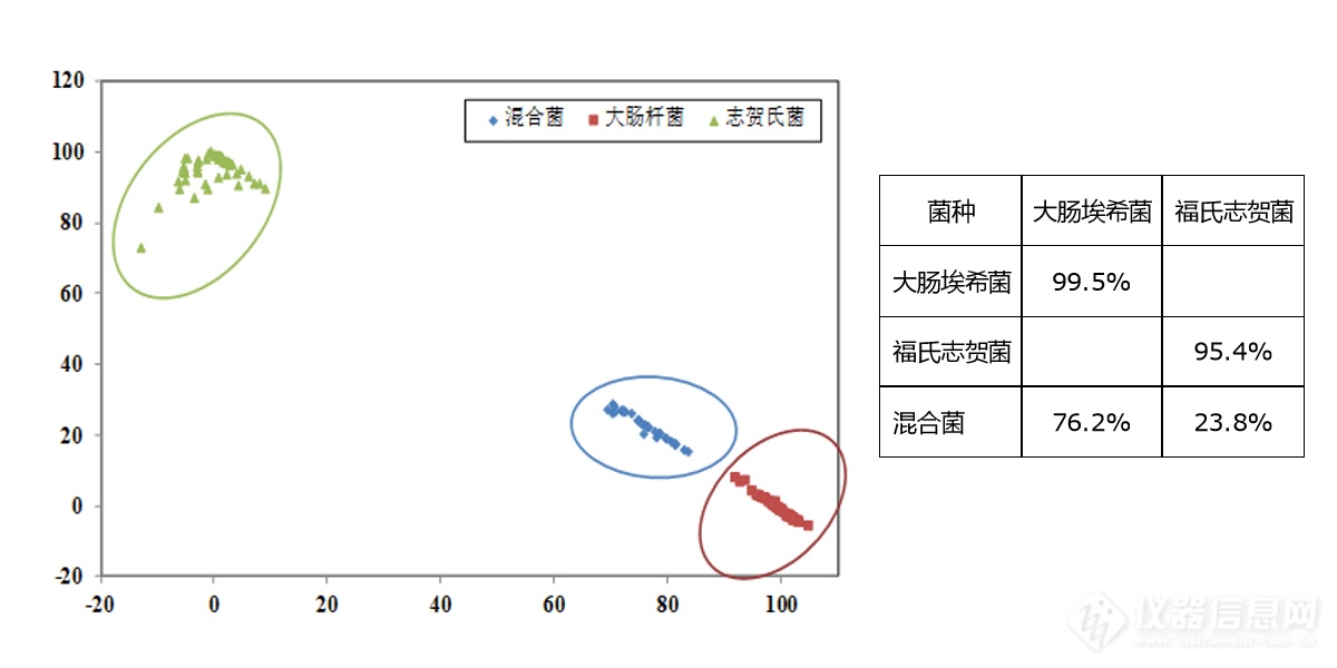 大肠埃希菌人工只能算法.png