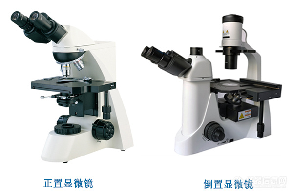 倒置显微镜的使用倒置显微镜与正置显微镜的区别.jpg