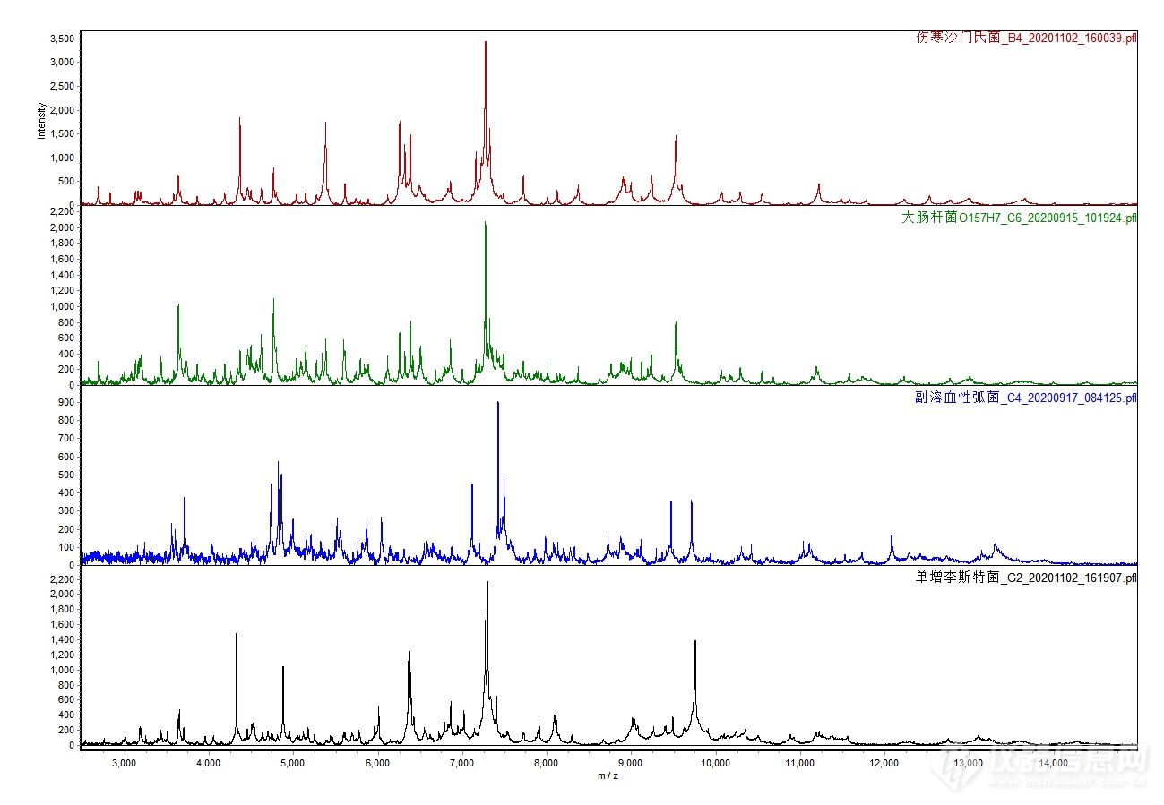 致病菌质谱图.png