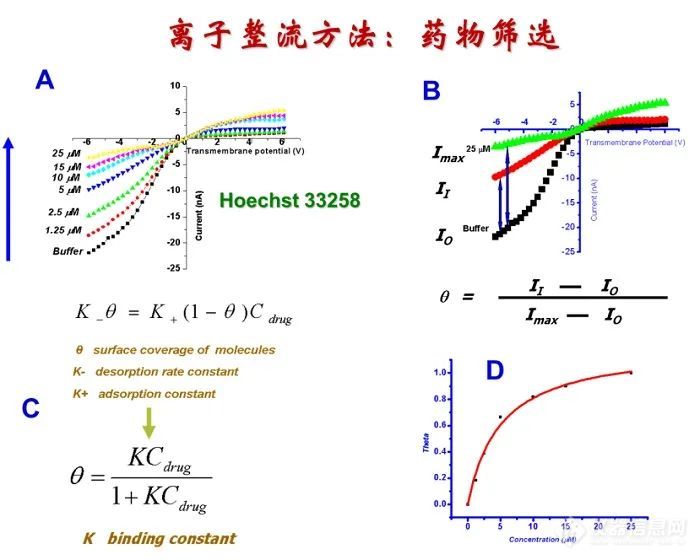 广州大学王家海教授团队在纳米孔单分子计数器和纳米孔整流器领域的系统性成果