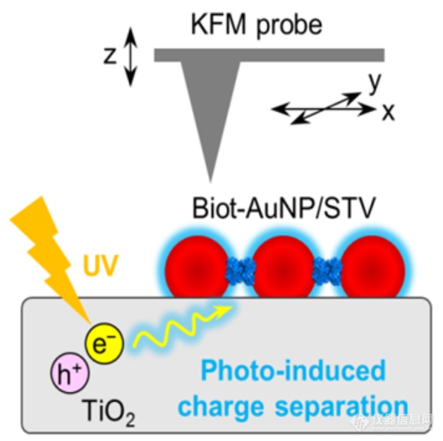 岛津原子力显微镜——KPFM在光催化中的应用