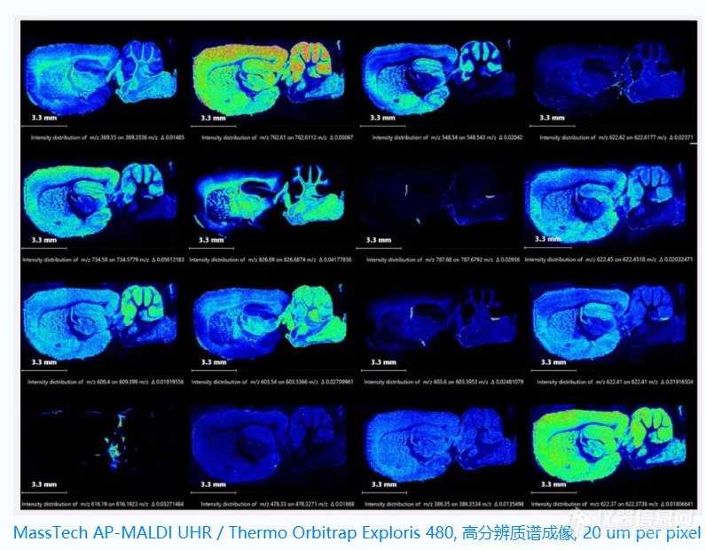 华质泰科：AP/MALDI 质谱成像在 ASMS 美国质谱年会