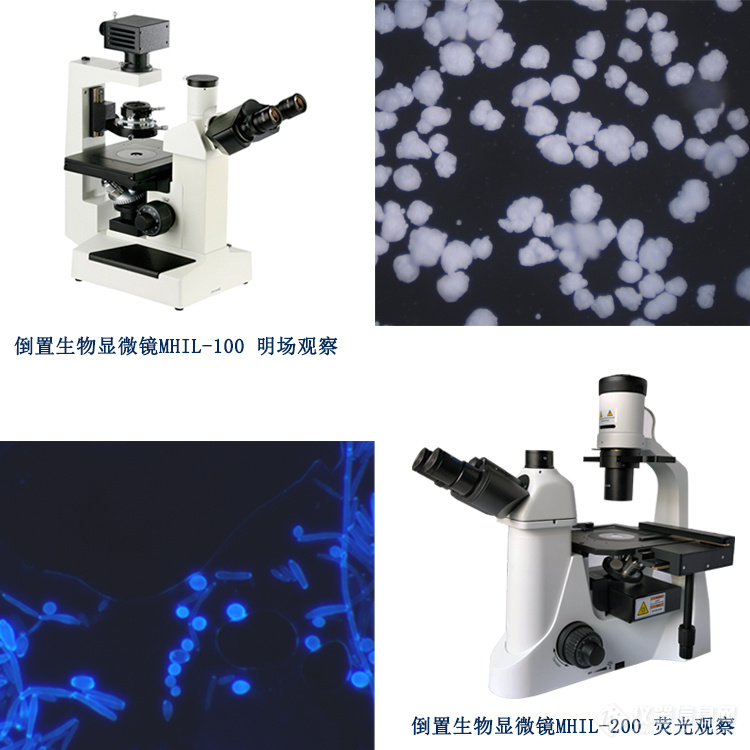 倒置生物显微镜，使显微观察效率更高，更自由舒适.jpg