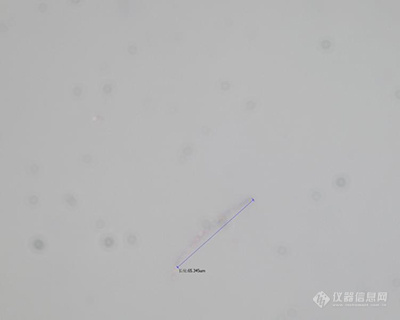 广州明慧科研级金相显微镜应用于广东某电解铜箔公司一般金相显微镜实拍图.jpg
