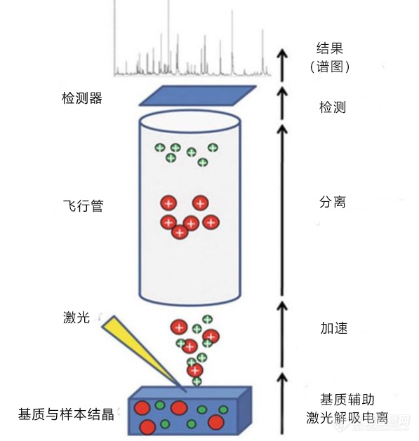 融智生物：蛋白定量检测有望成为临床质谱的新突破点