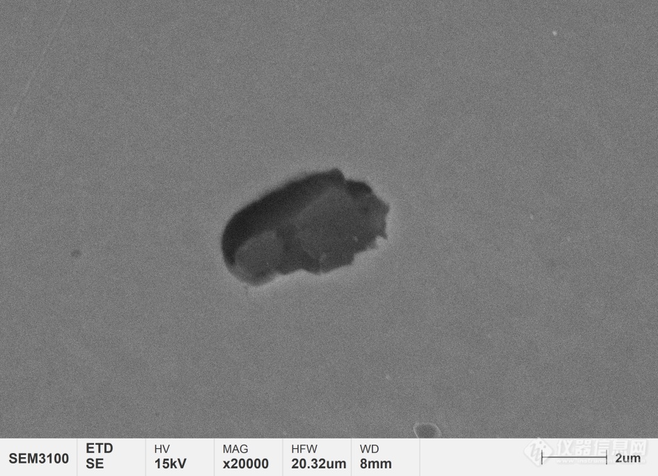 探索微观 明察秋毫——浅谈扫描电镜在金属材料失效分析领域的应用