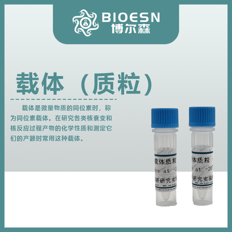 pBAC4x-1_价格_上海博尔森生物科技有限公司