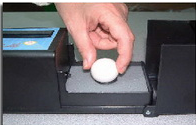 英国Buddy红外线鸟类、爬行动物胚胎心率测量仪
