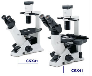 奥林巴斯显微镜CKX31,CKX41