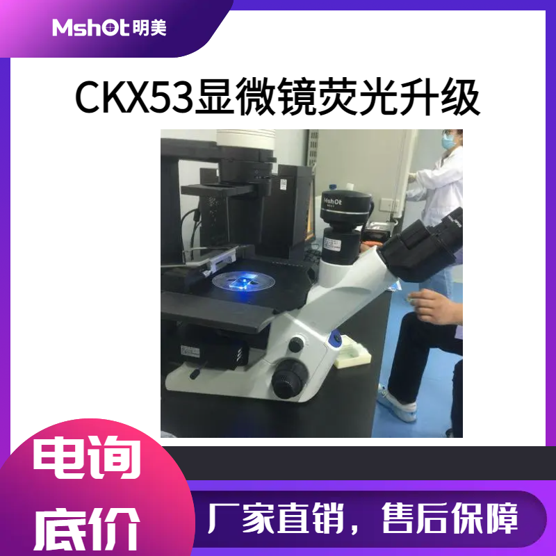 倒置显微镜CKX53升级LED荧光模块