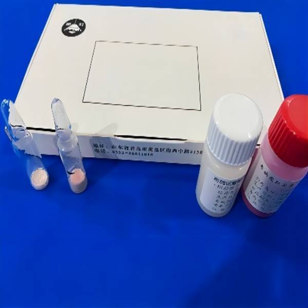 杭州华端 布鲁氏菌标准血清学诊断试剂盒