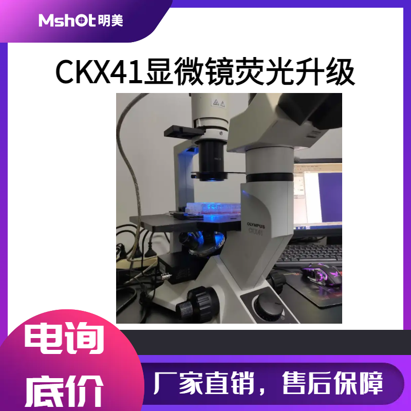 奥林巴斯CKX41倒置显微镜荧光成像升级模块