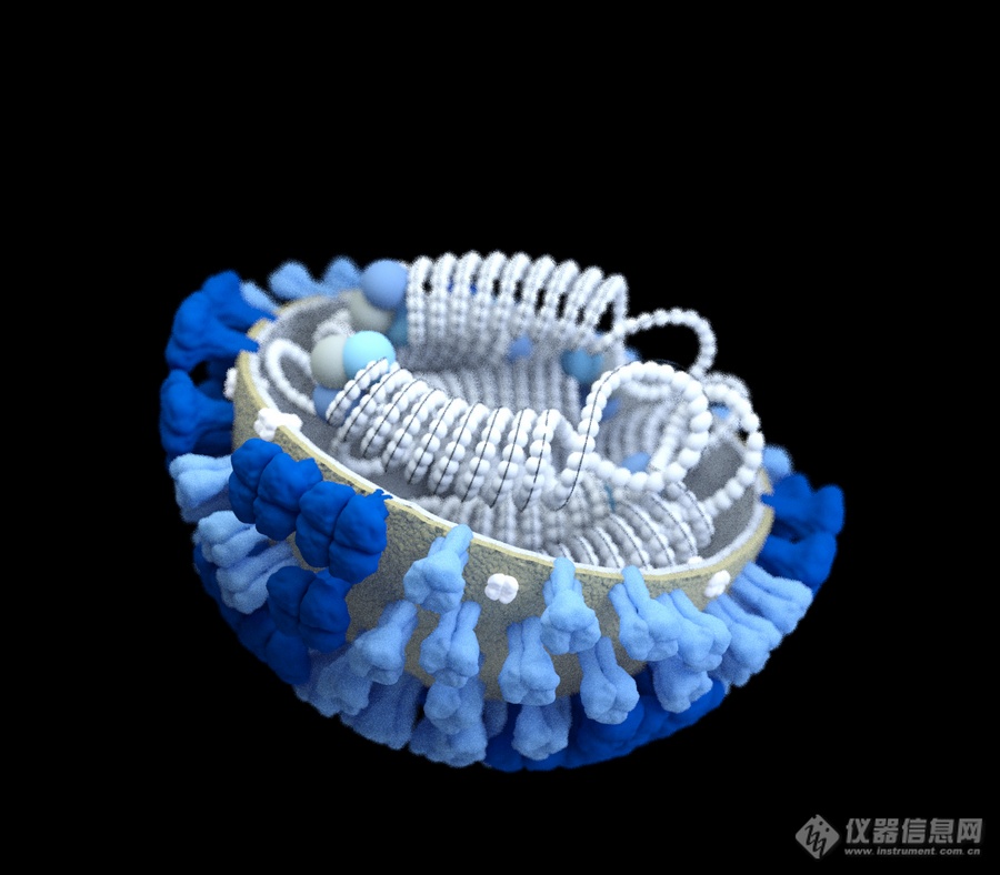 20220722-2140755391.png 1.png