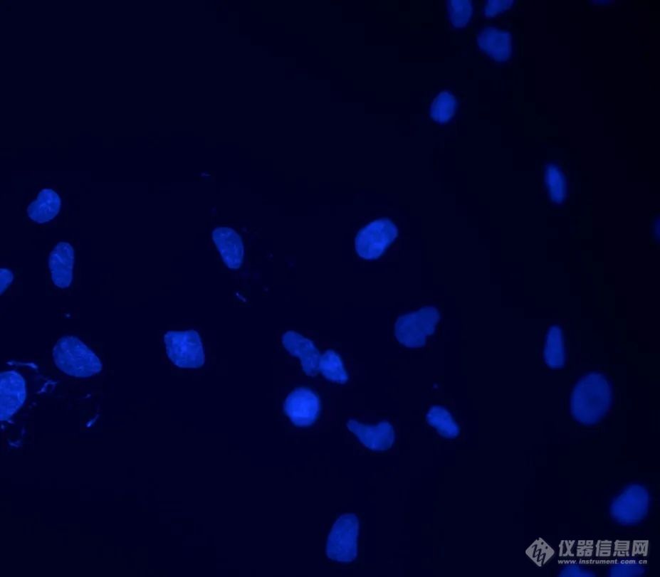 20220722-701788973.jpg 10.jpg