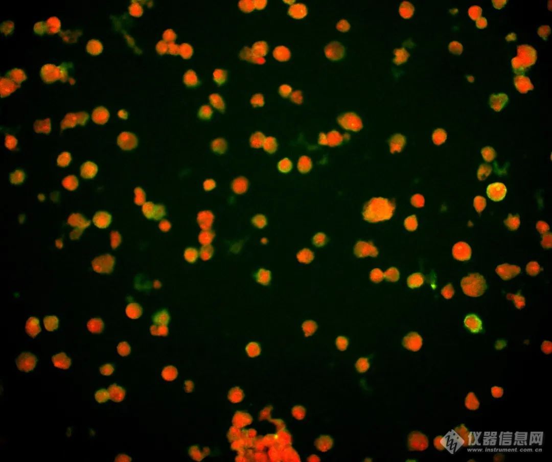 20220722-211281707.jpg 6.jpg