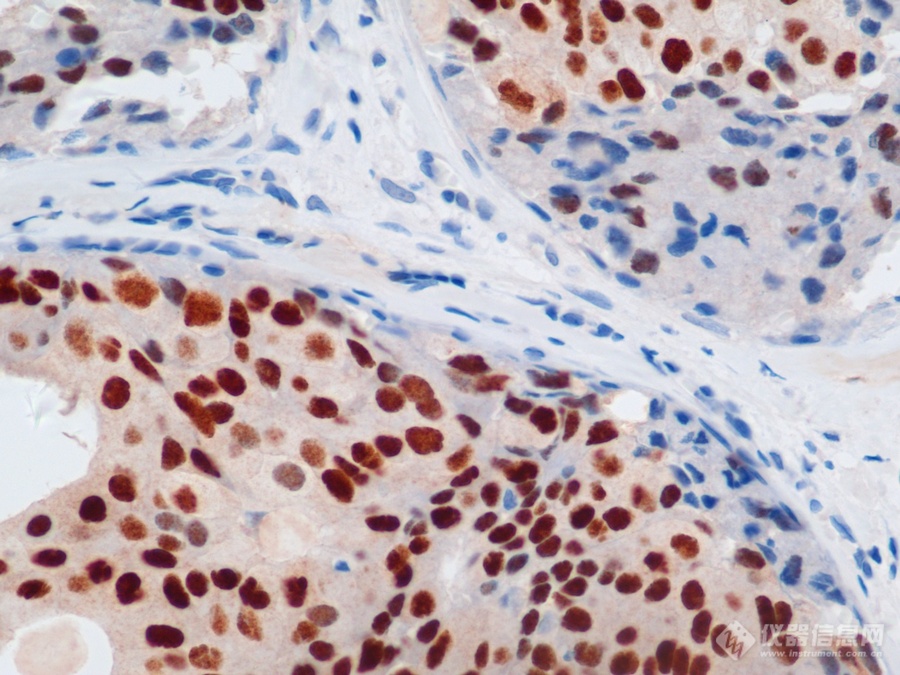 20220722-222093541.png 20220722-222093541.png