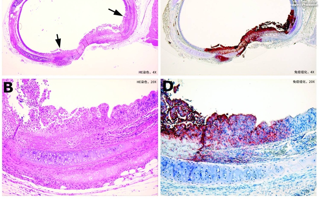 20220722-1727567930.png 4.png